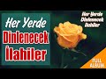 Her Yerde Dinlenecek İlahiler 💖 En Güzel Karışık İlahiler  🌹 En Damar İlahiler