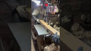 Workers are cutting logs skillfully