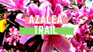 Azalea Trail | Virtual Tour