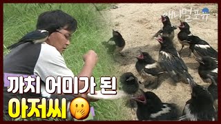 아저씨를 졸졸 따라다니는 까치 새끼들?! 지휘에 맞춰서 합창도 함ㅋㅋㅋ | KBS 주주클럽 040605 방송