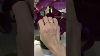 Cartier Love Ring: yellow gold vs rose gold | Chloe Dang #cartier