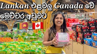 Cheapest Grocery | Hamilton Canada | Nations Fresh Foods 🥒🥦 | Sri Lankan Vegetables