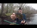 suwannee bass quest on the santa fe river in old town 119 canoes bass slam quest