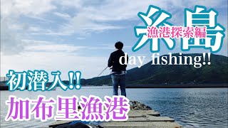 【福岡釣部 in 糸島釣り】 055 【福岡 糸島 加布里漁港で初釣り！漁港探索編】fukuoka fishing club in itoshim kafuri fishing port