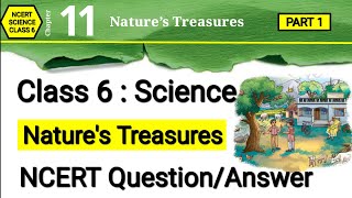 Class 6 Science Chapter 11 | Nature's Treasures | Question Answer | Curiosity