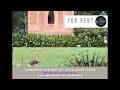 Luxurious Farmhouse For Rent DLF Chattarpur Farms, South Delhi Mehrauli