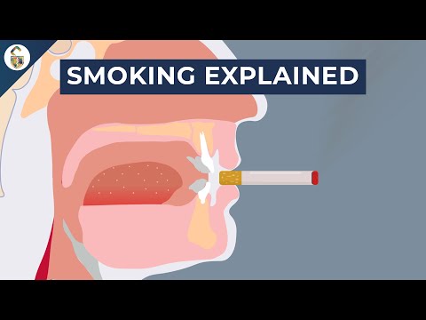What is smoke made up of?