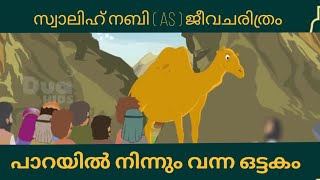 സ്വാലിഹ് നബി (AS) ജീവചരിത്രം Quran Stories Malayalam   Prophet Stories Malayalam   Use of education