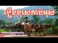 រឿងបុរសកាប់អុស ជួន កក្កដា chuon kakada khmer dhamma video khmer dhamma video