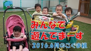 八幡保育園（福井市）こぐま組（0歳児）の最近（2016年6月）のあそびの様子をご覧下さい。