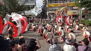 東京よさこい2017 ～ 燦-SUN- (1)