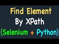 Locating element by XPath using Selenium and Python