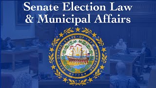 Senate Election Law and Municipal Affairs