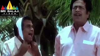 Pallakilo Pellikuthuru Movie Brahmmi Comedy Scene | Gowtham, Rathi | Sri Balaji Video