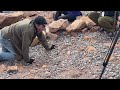 watch a man pushing a peanut reach the summit of pikes peak