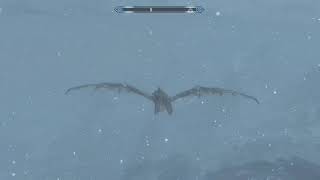 Skyrim Dragon Face Off