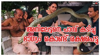 അനിലേട്ടനെ പാമ്പ് കടിച്ചു... ഭാഗ്യം കൊണ്ട് രക്ഷപെട്ടു.../Chakka murukku recipe /Village vlog