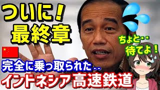 【衝撃の結末】中国に全部取られてしまいました！インドネシア高速鉄道《【海外の反応】by ゆきのん日和 🐍》《 with 妹のなつみ🍊》