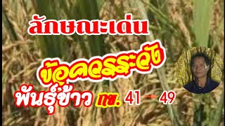 Ep.1ลักษณะเด่นพันธุ์กข41-49