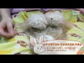 how to prepare your rabbit for a grooming 要怎样安排兔子的美容呢 🐰