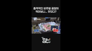 으 이게 뭐야😨 충격적인 비주얼의 곰장어! 먹어보니.... 맛있네?😮 l #어서와한국은처음이지 l #shorts