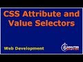 CSS Attribute and Value Selectors