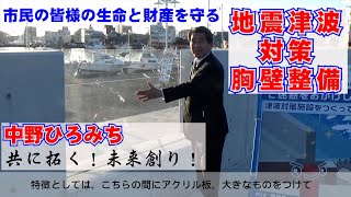 共に拓く未来創り～【地震津波対策】胸壁の整備～