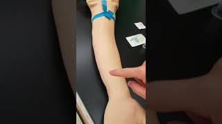 Phlebotomy: The Veins Used for Venipuncture