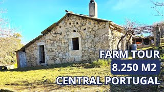 69 900€ Dream Farm in Central Portugal | 8,250m² Rustic Retreat Wells, Fruit Trees \u0026 Stunning Views!