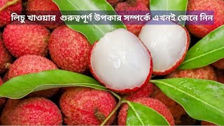 লিচু খাওয়া কতটা উপকারী? How beneficial is eating litchi?