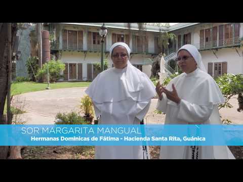 Instituto Desarrollo Integral | Guánica Instituto Desarrollo Integral | Guánica