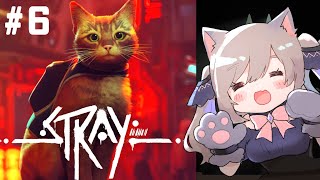 【🔴 Stray】この世界と猫の未来とは【ストレイ#最終回 】