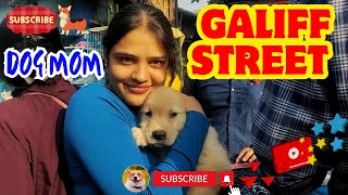 Galiff Street Pet Market Kolkata | dog market in kolkata | dog market in kolkata price | dogs