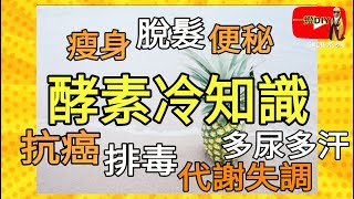 【不生酮也能瘦2】一種能抗癌的酵素【菠蘿酵素】 排毒瘦身 改善便秘 增強生理機能代謝 不生病的健康秘密!