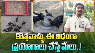 Peruvian Breed Farm Management | కొత్తవాళ్ళు ఈ విధంగా ప్రయోగాలు చేస్తే మేలు..! Tone Agri