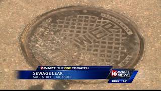 Jackson residents plagued by raw sewage