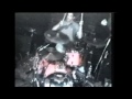 arkangel live in montreal qc 2001