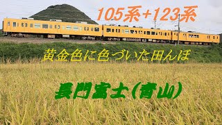 山陽本線105系+123系　長門富士をバックに