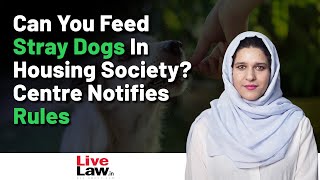 Can You Feed Stray Dogs In Housing Society? Centre Notifies Rules