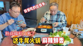 北京张做的牛尾火锅，老爸连吃3碗饭，最后钱也找回来了，舒坦！【北京爷们生活栏目】