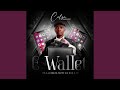 eWallet