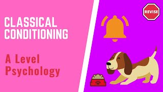 A Level Psychology - Classical Conditioning