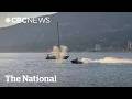 Jet ski rider hits grey whale at high speed in Vancouver