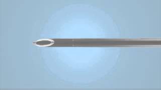 Abbott Veterinary Peripheral IV Catheters