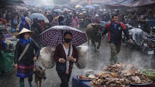 FULL CHỢ VÙNG CAO - SÍN CHÉNG (Lào Cai) | Ẩm Thực Thực Mê Hoặc Lòng Người - Văn Hóa Bản Địa Đặc Sắc
