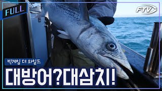 [Full]아직 끝나지 않았다! 거제 대방어 지깅낚시!feat. 삼치는 덤?[빅게임 더 와일드/69회]