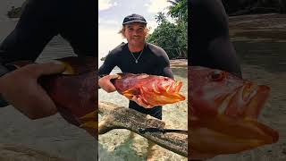 Rare Fish Catch and Cook (Primitive Survival)