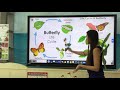 Butterfly life Cycle :Kinder E-learning Science Lesson