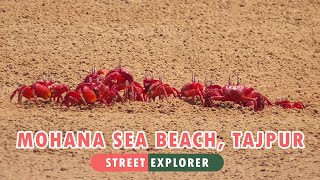 Mohana Sea Beach | Tajpur | Red Crab | Mandarmani (FULL HD)