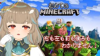 【#マイクラ】お家づくりに着手したいっ！！【#Vtuber】